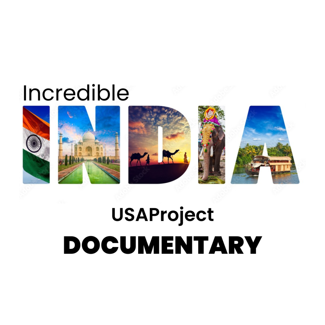 Incredible India Manufacturing (US Project)