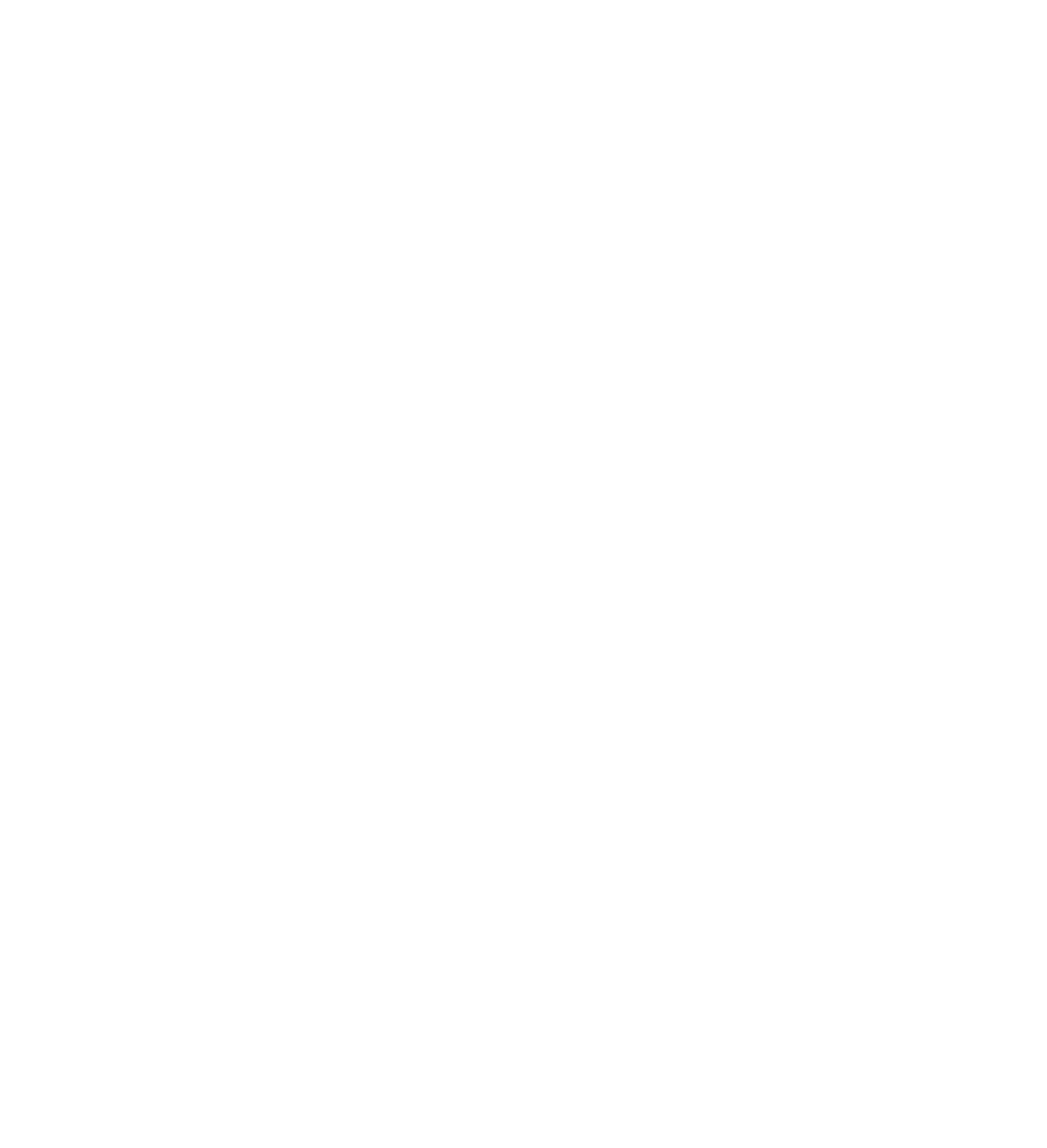 MonkeyShot Media – Creative Ads & Marketing